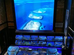 水产区-粤珍轩(凤城九路店)