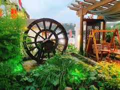 -慢丽江·云南野生菌土鸡锅(付家庄店)