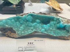 -湖南省地质博物馆