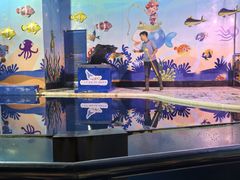 -太平洋海底世界