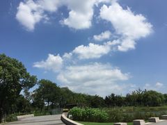 -阳澄湖费尔蒙酒店颐丰阁中餐厅(马鞍山西路店)