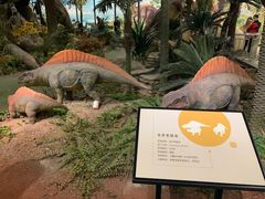 -湖南省地质博物馆