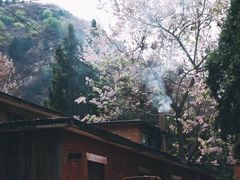 -北京上方山国家森林公园