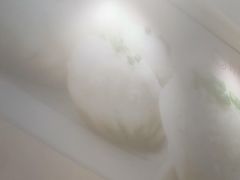 -小杨生煎(周浦万达店)