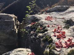 -抱龙峪