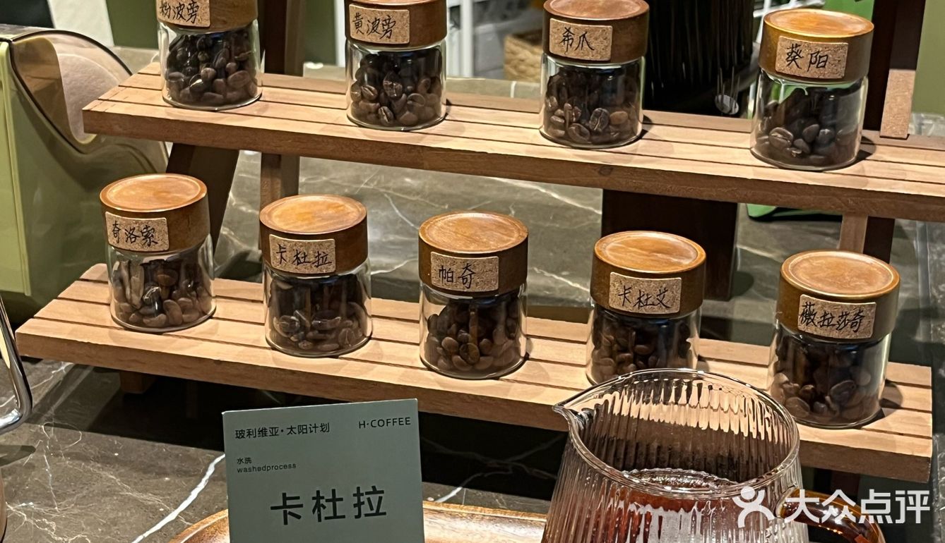 在肇庆！喝到人生手冲🥹环境敲sofu