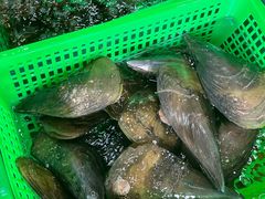 -众味海鲜大排档·活海鲜·潮汕味(南澳店)
