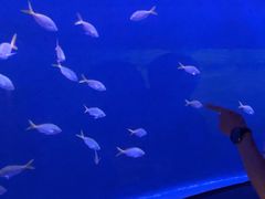 -沈阳海洋探索中心