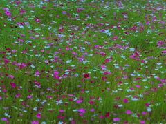 -北沙滩(地铁站)