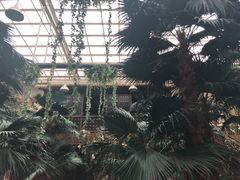 -龙源九号花园酒店(叶埠桥店)