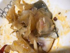 美蛙鱼头锅-红牌美蛙鱼头火锅(万辉国际广场店)