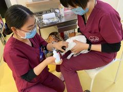 -芭比堂动物医院·犬猫全科·异宠专科(雁塔分院)