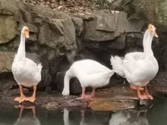 -兰亭风景区