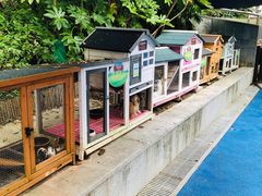 -上海崇明金茂凯悦酒店