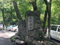-龙井村