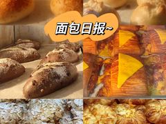 -面包日报