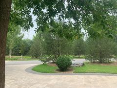 -永定河休闲森林公园