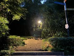 -飞凤山奥体公园