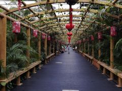 -东方华地城湿地温泉度假区