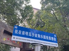-上海崇明金茂凯悦酒店