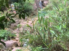 -南海湾森林生态园