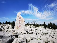 -原山国家森林公园