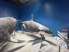 -青岛海底世界-水族馆