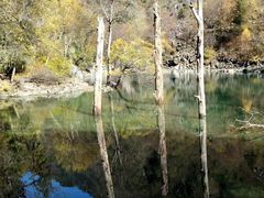 -叠溪松坪沟景区