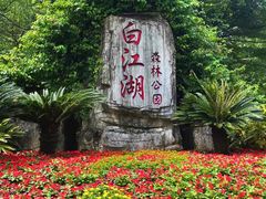 -广州白江湖森林公园