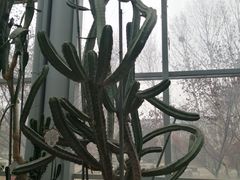 -郑州植物园