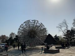 -蒲河岛湿地公园
