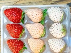 -唐桥水果批发市场