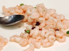 清炒河虾仁-上海小南国(金桥国际广场店)