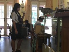 大堂-猫色咖啡·猫咖