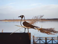 -野鸭湖国家湿地公园