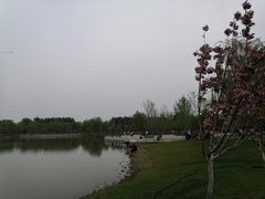 -东坝千亩湖公园