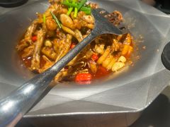 -蛙小侠(天成店)