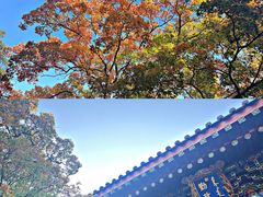 -香山公园