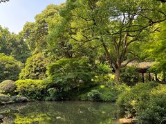 -杭州植物园