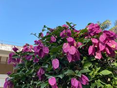 -白沙门生态公园