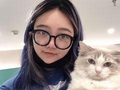 -飞行喵MR PILOT|猫舍·猫咖(静安大融城店)