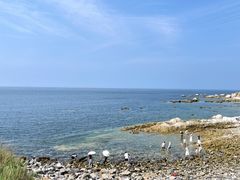 -养马岛旅游度假区