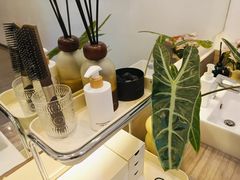 -刘健艺术钢琴学校·专注钢琴教育25周年(徐家汇校区)