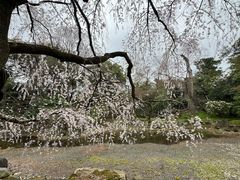 -京都御所