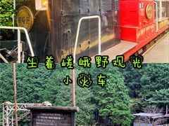 -岚山嵯峨野观光小火车