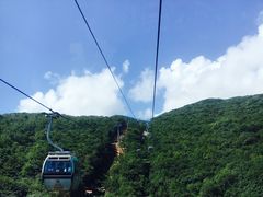 -普陀山慧济禅寺