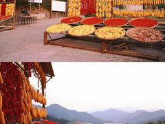 -阳产土楼