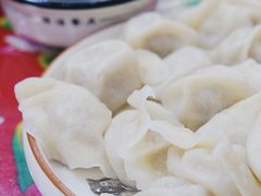 鲜肉大葱水饺-东北菜铁锅炖(义乌街店)