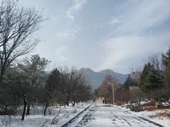 -北京鹫峰国家森林公园