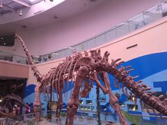 -陕西自然博物馆